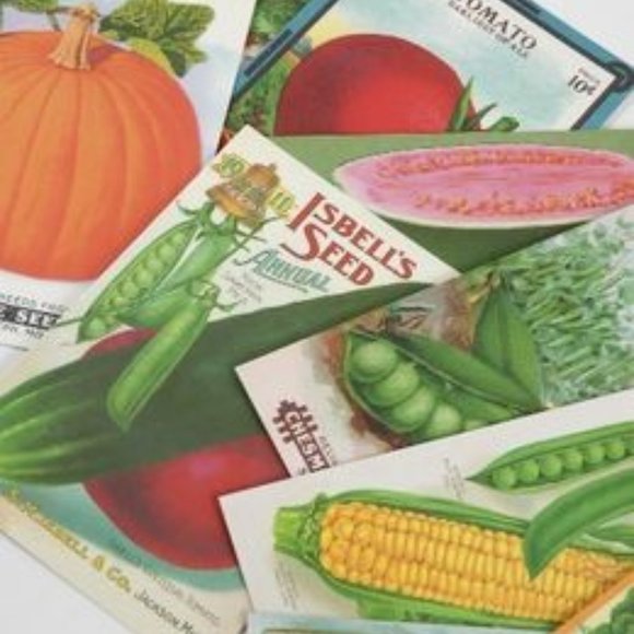 Vintage Farmer's Market Carte Postale postcard set - Picture 2 of 5